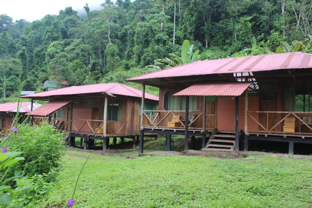 Amazon: Manu and Tambopata